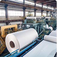 Pulp & Paper
